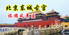 操女生的骚逼免费看视频中国北京-东城古宫旅游风景区